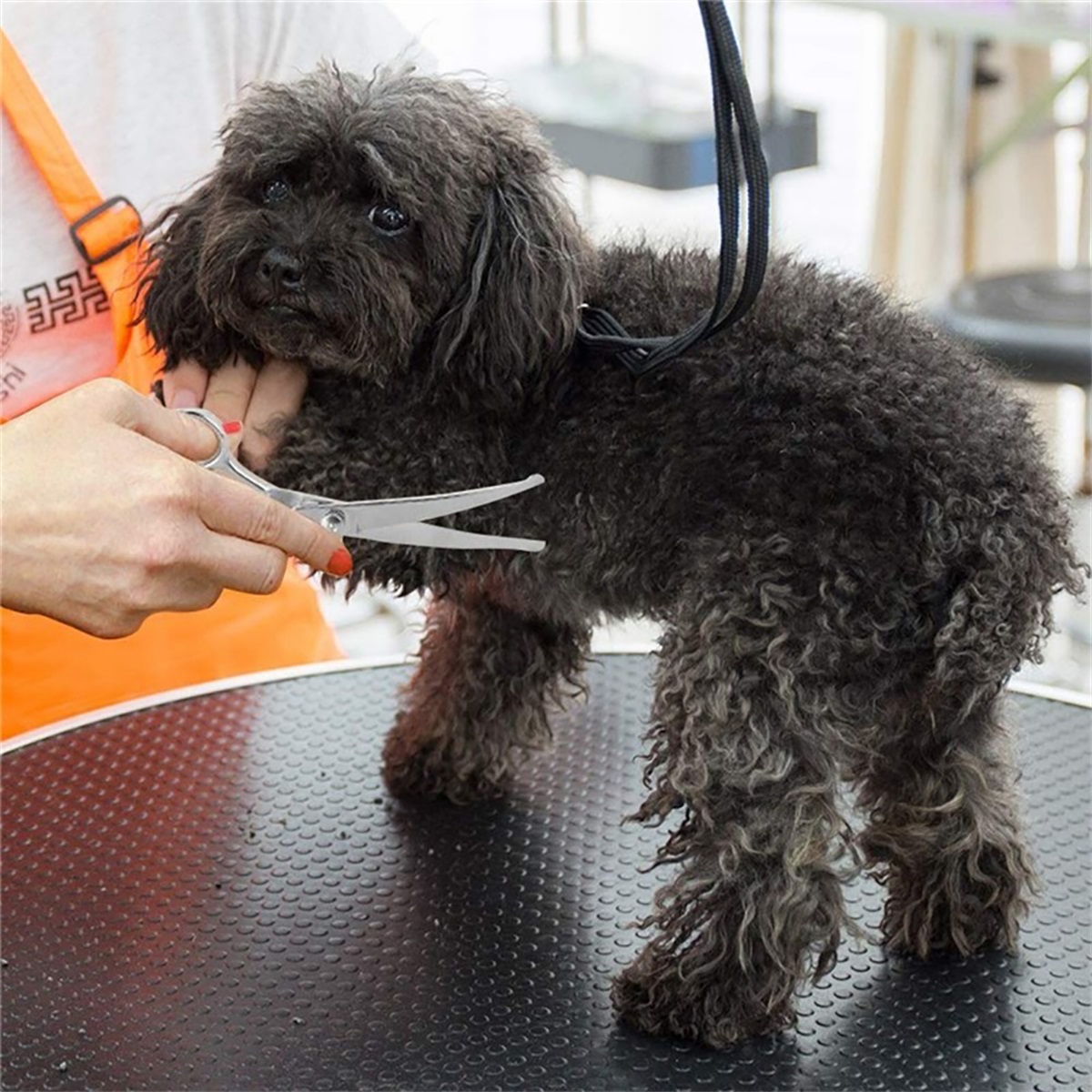 ペットグルーミングハサミ 丸刃 犬/猫グルーミングシザー ペ - Grooming Scissors のレビューと価格