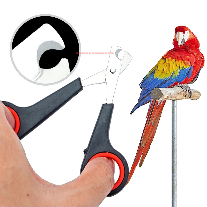 12cmペット用爪切りはさみ 犬猫用爪切りツール ウサギ用爪 - Grooming Scissors のレビューと価格