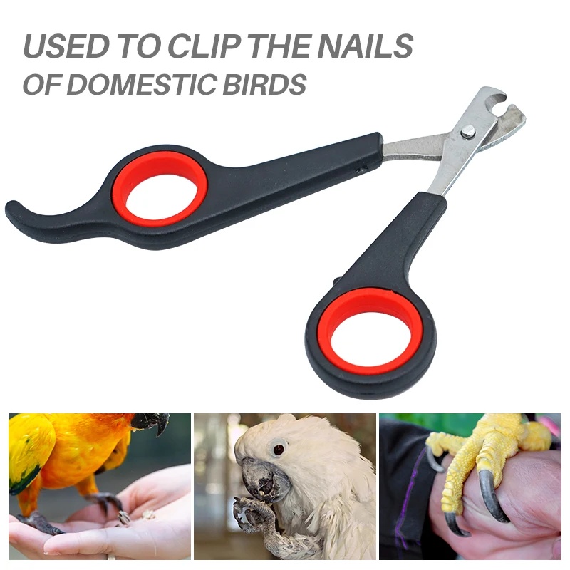 12cmペット用爪切りはさみ 犬猫用爪切りツール ウサギ用爪 - Grooming Scissors のレビューと価格