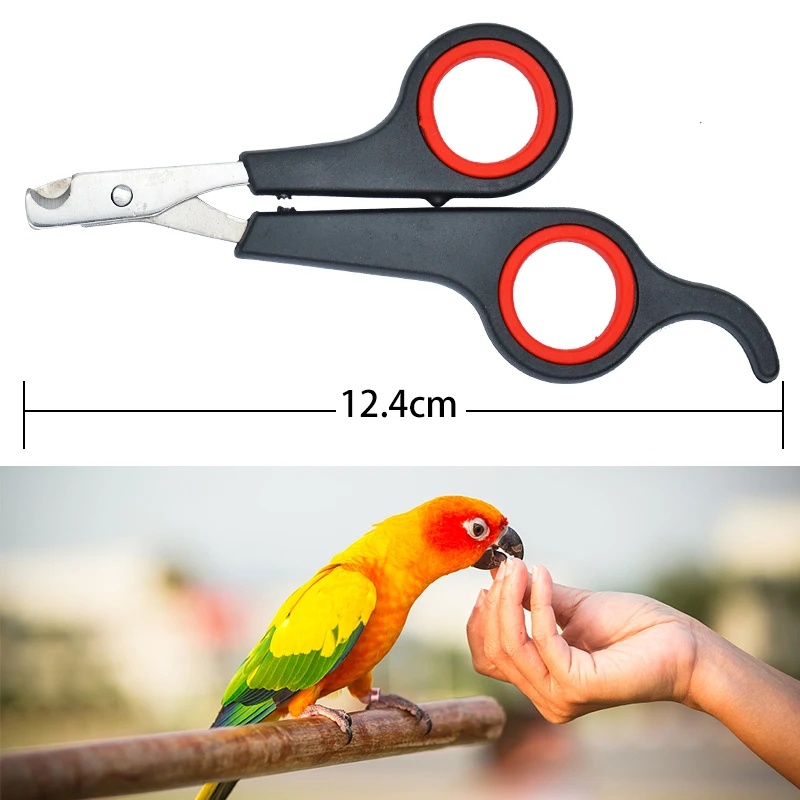 12cmペット用爪切りはさみ 犬猫用爪切りツール ウサギ用爪 - Grooming Scissors のレビューと価格